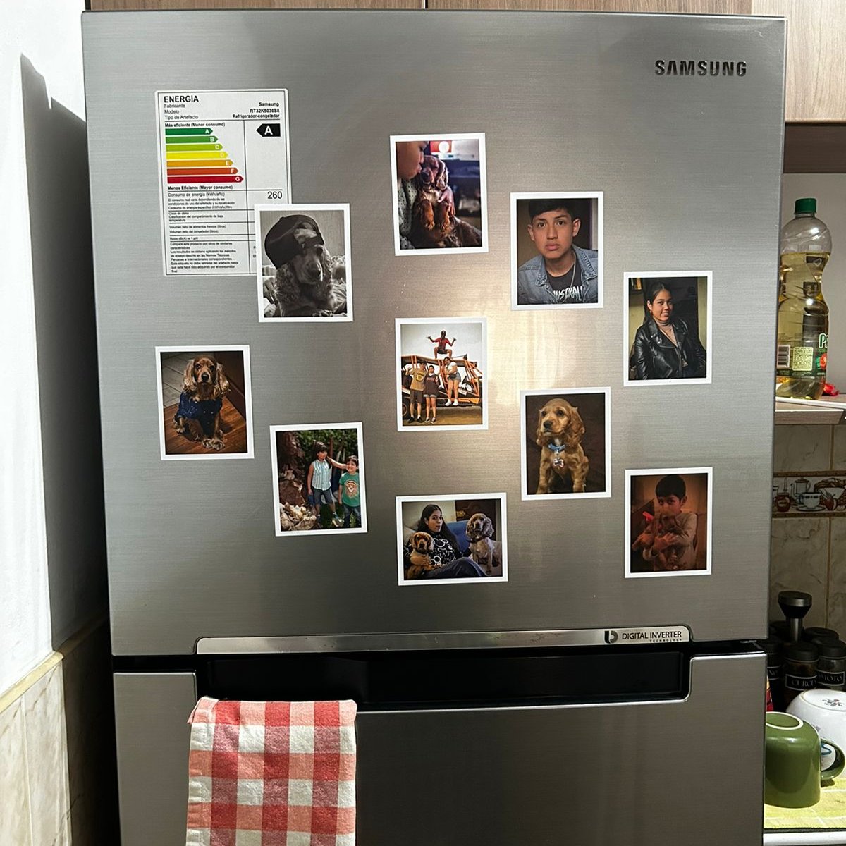 10 fotos imantadas de 10x8.5 cm (Ofertas DDM💖)