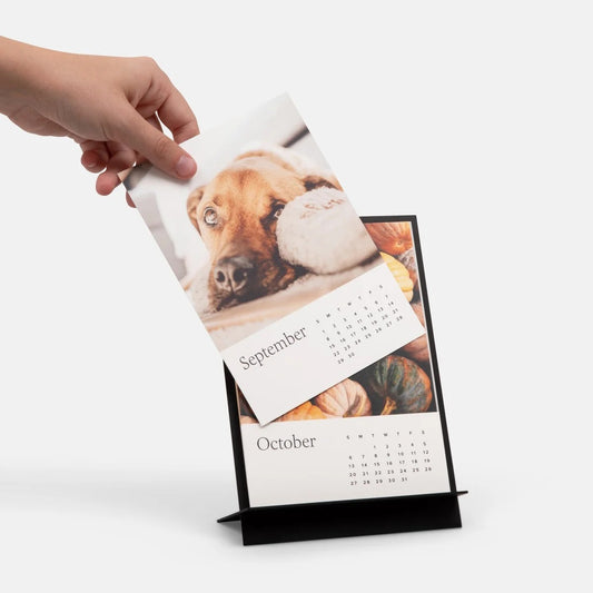 Calendario Jumbo 2026 de 10x15 cm, papel fotográfico premium, incluye soporte color negro